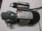 1xfy8 Dayton Model Gear Motor
