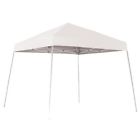 22558 Shelterlogic 10x10 Slant Leg 677599225581