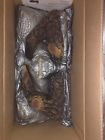 H5142 Lennox Log Set For Winslow Country Stove By Bnib
