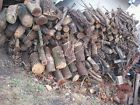 Pit Tree Place Burn Cured Fire Camp Stove Nebraska Split Logs Heat Kindling Wood