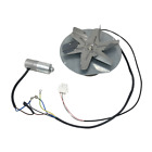 Pzrp.rf02010400 Piazzeta Piazzetta Smoke Fan