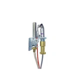 Heat & Glo Pilot Assembly Lp (part #446-513A). Fixed Price $129.91.