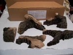 Vermont Castings Majestic Fireplace LHECDV23 LHEC30 Log Set #10004866 (new). Fixed Price $39.00.
