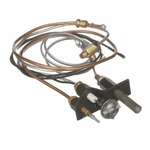 Napoleon WS100-39 Pilot Assembly, Propane Gas (lp). Fixed Price $119.00.
