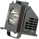 915B403001 Tv Replacement Lamp Housing For Count (pack Of 1), Black. Fixed Price $48.99.