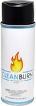 High Heat Paint - Ideal For Stoves, Tempspray With Flat Finish. Fixed Price $20.99.