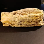 Petrified Wood Log 12LB 2OZ. 10 1/2" 5" Found In Dallas Storage Similar Item. Fixed Price $175.00.
