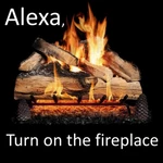 Alexa Google Voice Remote Control Unit For Fireplace 4 Wires - No Usb Cable. Fixed Price $27.99.
