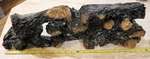 Vermont Castings Electric Fireplace Log Set. Fixed Price $10.00.
