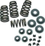 & Cycle Sidewinder Valve Spring Kit 900-0050. Fixed Price $262.99.
