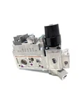 Gas Valve Ng (060-520). Fixed Price $365.43.