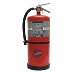Buckeye Fire Equipment 12651 Extinguisher, 20 Lb Capacity, Class Ul. Fixed Price $517.99.