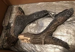 Iron Strike Madison Park 32 Log Set J7601. Fixed Price $299.99.